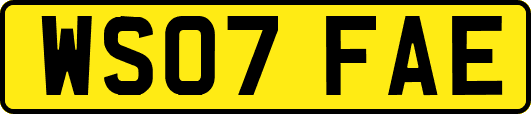 WS07FAE