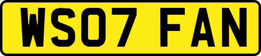 WS07FAN