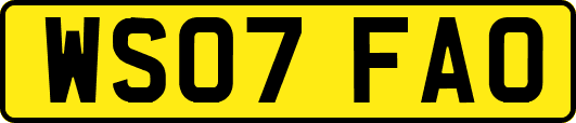 WS07FAO
