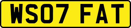 WS07FAT