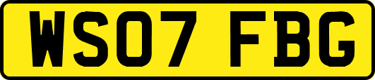 WS07FBG