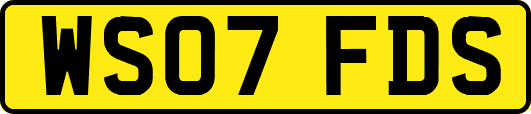 WS07FDS