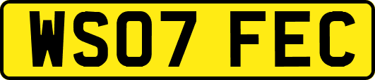 WS07FEC