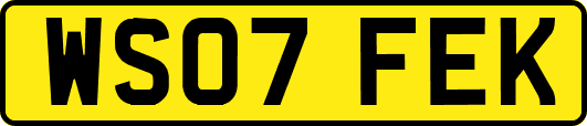 WS07FEK