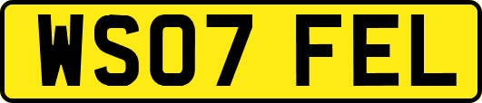 WS07FEL