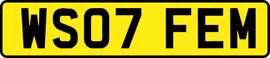 WS07FEM