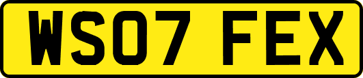 WS07FEX