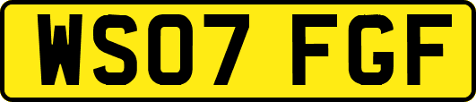 WS07FGF