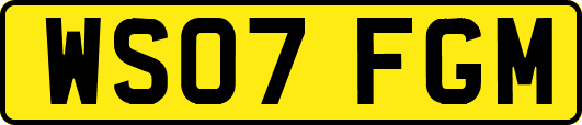 WS07FGM