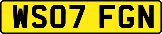 WS07FGN