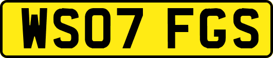 WS07FGS