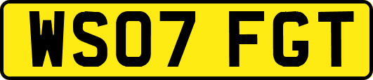 WS07FGT