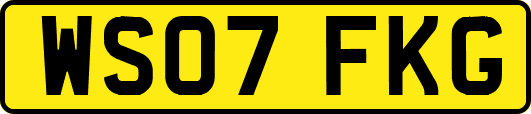 WS07FKG