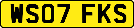 WS07FKS