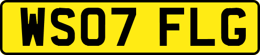 WS07FLG