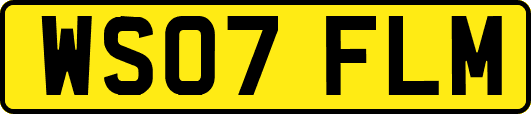 WS07FLM