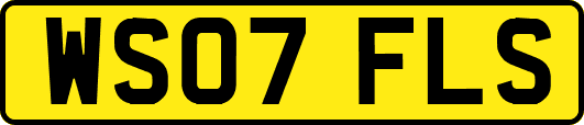 WS07FLS