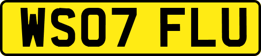 WS07FLU