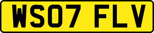 WS07FLV