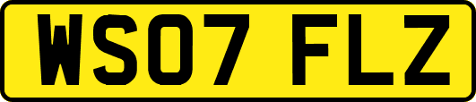 WS07FLZ