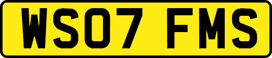 WS07FMS