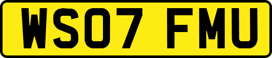 WS07FMU