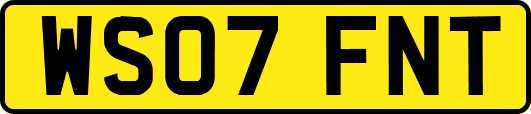 WS07FNT