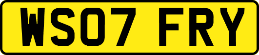WS07FRY