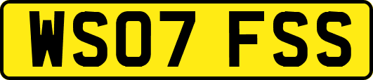 WS07FSS