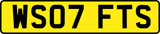 WS07FTS