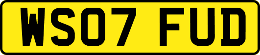 WS07FUD
