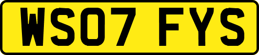 WS07FYS