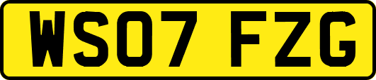 WS07FZG