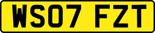 WS07FZT