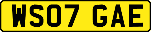 WS07GAE