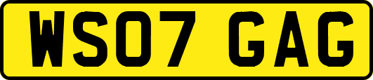 WS07GAG