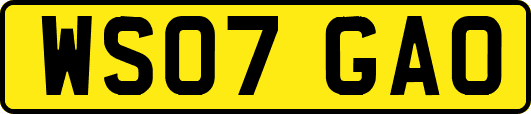 WS07GAO