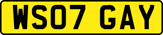 WS07GAY