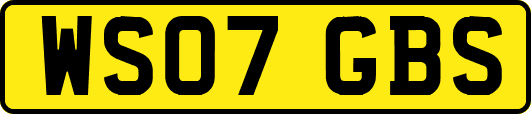 WS07GBS
