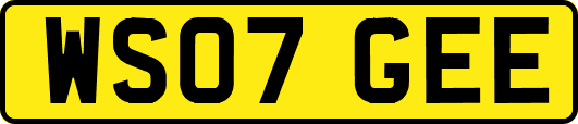 WS07GEE