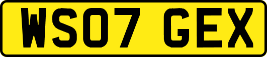 WS07GEX