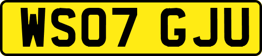 WS07GJU
