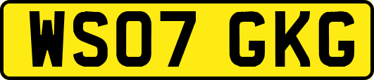 WS07GKG