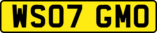 WS07GMO
