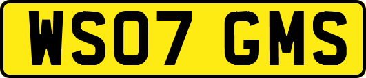 WS07GMS