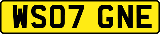 WS07GNE