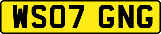 WS07GNG