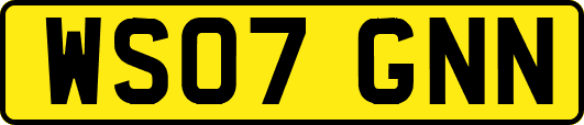 WS07GNN