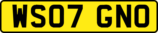 WS07GNO