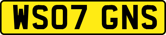 WS07GNS